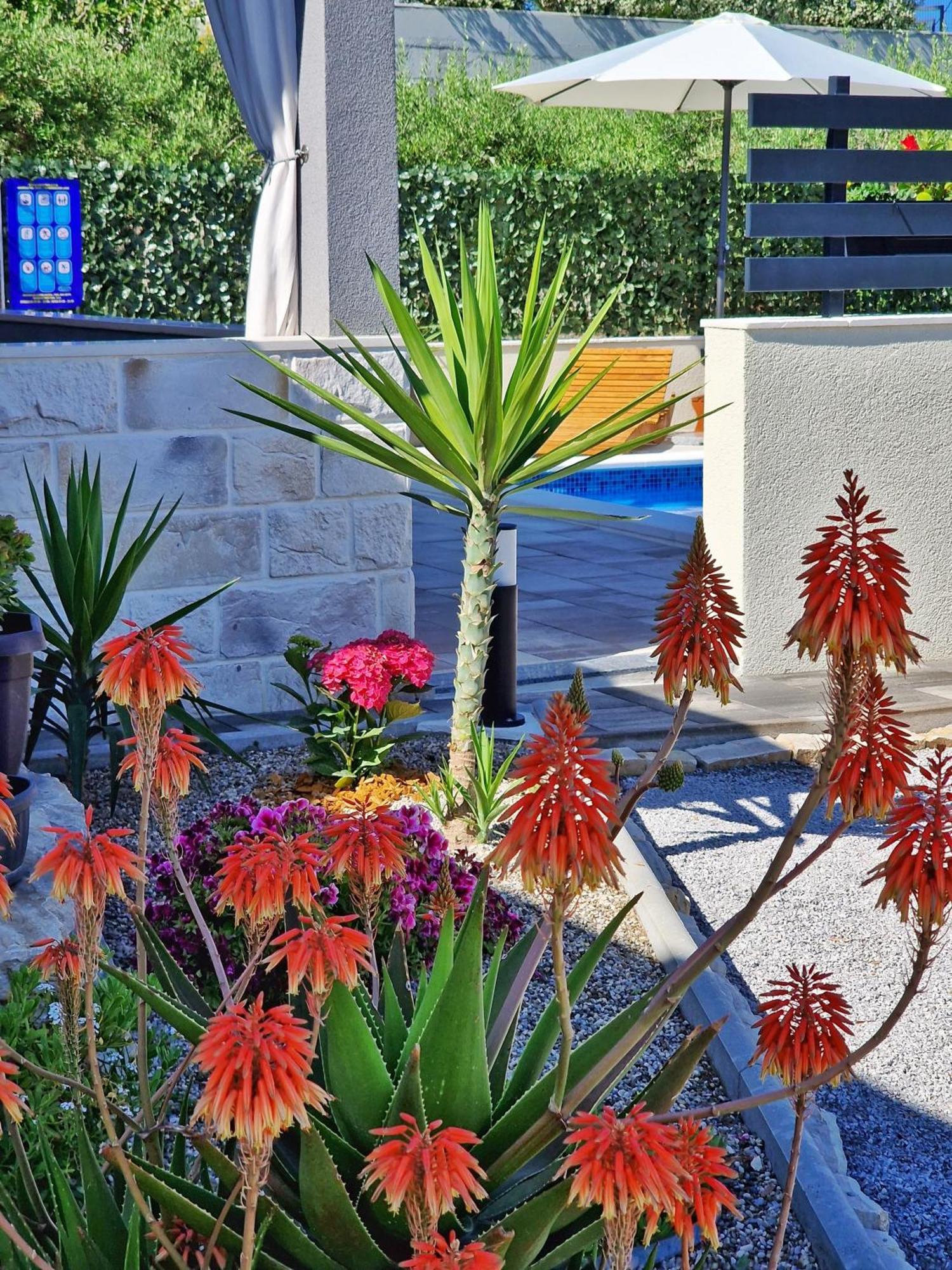 הוילה ספליט Casa Bella מראה חיצוני תמונה